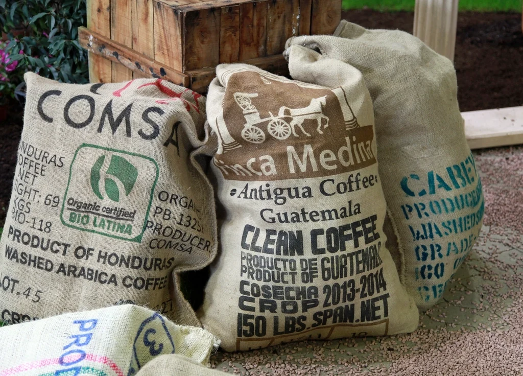 Café de spécialité en grains Éthiopie Sidamo 250 g