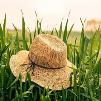 Chapeau de paille tressée Salins