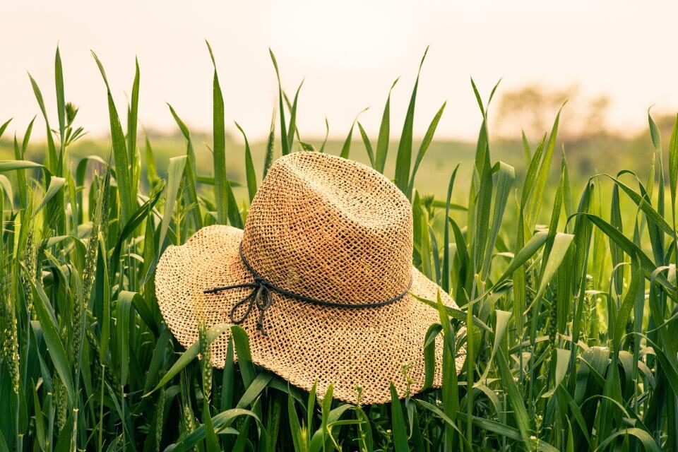 Chapeau de paille tressée Salins