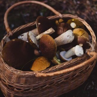 Panier de rangement en jonc de mer Cabourg