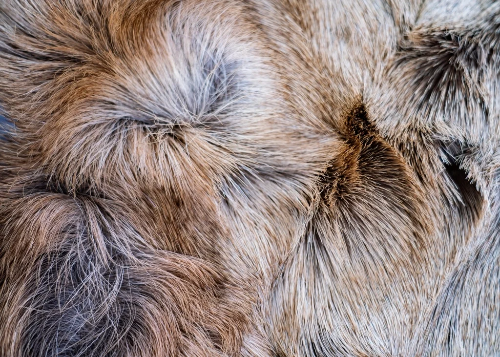 Tapis berbère tissé main Atlas 120 × 170
